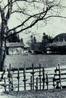 1950-00-00 - Blick über den Zaun