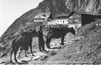 1961-06-09 - Tragtiere auf dem Weg zur Gruttenhuette