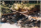 1987-10-10 - Wasserwehr für Wirtsmühle