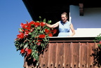 1988-08-00 - Blumen beim Oberkaisererhof