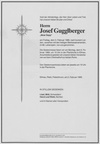 1989-02-03 - Josef Gugglberger