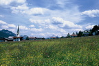 1989-06-13 - Dorf Ellmau mit Blumenwiese