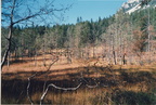 1989-10-28 - Biedringer Hochmoor