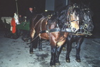1989-12-05 - Nikolauseinzug 1989