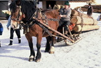 1990-01-28 - Pferd und Mensch im Winter