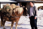 1990-01-28 - Pferd und Mensch im Winter