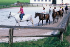 1990-08-00 - Reitstall Danzerhof