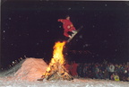 1991-01-01 - Neujahrsfeuerwerk