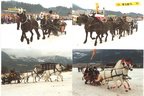 1991-03-03 - Traditionsfahren in Ellmau
