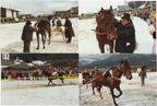 1991-03-03 - Sieger beim Pferderennen: