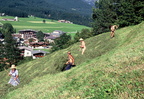 1991-08-31 - Heuernte am Kapellenbichl