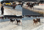 1992-03-01 - Pferderennen