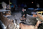 1992-12-06 - Ellmauer Berg-Weihnacht