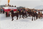 1993-02-28 - Pferdesportfest ''93