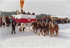 1993-02-28 - Haflinger Staatshengstenparade