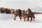 1993-02-28 - Noriker Staatshengstenparade