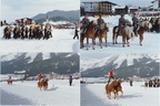 1993-02-28 - Haflingervorführungen