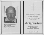 1993-07-22 - Martin Feiersinger