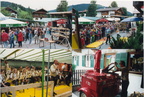 1993-07-31 - 11.Ellmauer Dorffest
