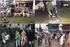 1993-12-05 - Ellmauer Bergweihnacht 1993
