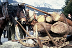 1994-02-24 - Pferderennen
