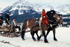 1994-02-24 - Pferderennen