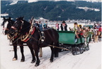 1994-02-27 - Pferderennen in Ellmau