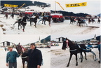 1994-02-27 - Trabrennen um den Preis der Gemeinde Ellmau