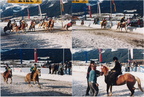 1994-02-27 - Haflingerreiten um den Preis des Landes Tirol