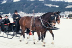 1994-02-27 - Pferderennen