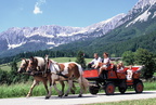 1995-06-00 - Pferdekutschenfahrten