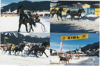 1996-02-25 - Hartkaiser-Pferderennen