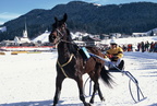 1996-02-25 - Hartkaiser Pferderennen