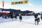 1996-02-25 - Hartkaiser Pferderennen