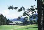 1996-09-00 - Ausblick von Mühlberg