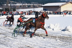 1997-02-23 - Pferdesportfest 1997