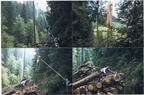 1997-08-25 - Moderne Holzbringung