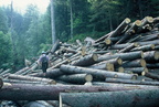 1997-08-25 - Moderne Holzbringung