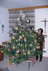 1998-01-03 - Christbaum im Pfarrhof