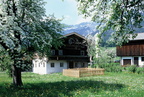 1998-05-00 - Heimatmuseum im Frühling