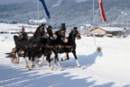 1999-01-31 - Hartkaiser-Pferderennen 1999