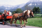 1999-08-00 - Pferdekutschenfahrt