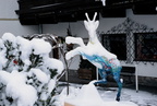 1999-12-03 - Schneemänner kommen nach Ellmau