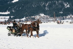 2000-02-27 - Pferdesportfest 2000