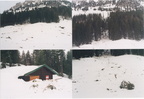 2000-03-00 - Lawine verschüttet Riedlhütte