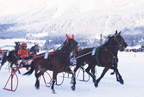 2001-02-25 - Hartkaiser-Pferderennen 2001