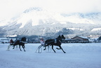 2001-02-25 - Hartkaiser-Pferderennen 2001